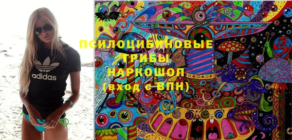 PSILOCYBIN Алексеевка