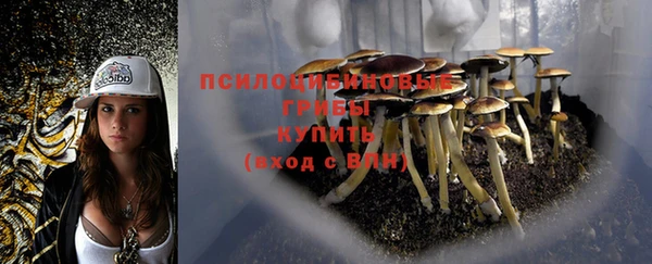 PSILOCYBIN Алексеевка