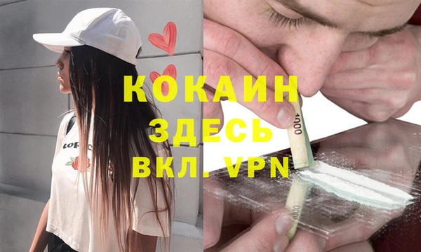 тгк Алексин