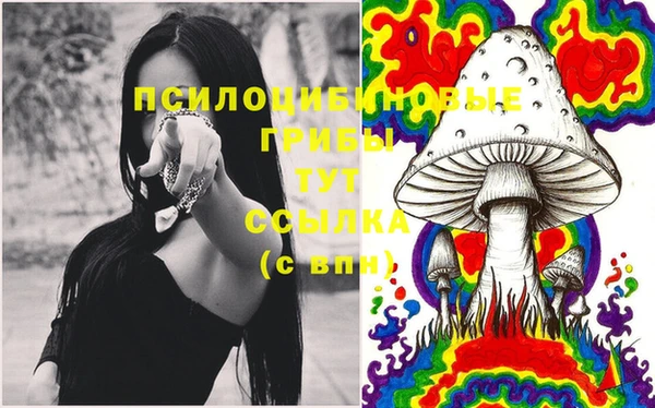 PSILOCYBIN Алексеевка