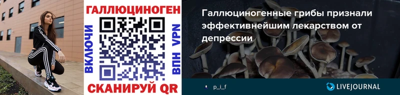 где купить наркоту  Елабуга  Псилоцибиновые грибы мухоморы 